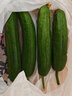 水果小黃瓜荷蘭黃瓜新鮮蔬菜生鮮早餐減肥減脂現摘生吃 暢享裝 3斤 凈重 曬單實(shí)拍圖