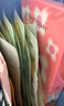 FAN BEAUTY DIARY范冰冰同款蝦青素黑咖雙抗冰塑早安面膜【5盒裝】緊致垮臉 曬單實(shí)拍圖