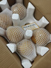 京覓山東豐水梨  凈重4.5斤單果300g+ 新鮮水果源頭直發(fā)包郵 曬單實(shí)拍圖