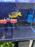 創(chuàng)寧 魚缸變頻加熱棒 CN-005-800W 自動恒溫 烏龜小型迷你加溫器 曬單實(shí)拍圖