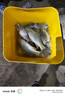 山頭林村日本進(jìn)口東麗原絲釣魚(yú)線(xiàn)主線(xiàn)超柔軟子線(xiàn)強拉力高端碳氟尼龍線(xiàn) 東麗軟碳氟-透明子線(xiàn)150米【進(jìn)口 1號 曬單實(shí)拍圖