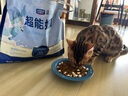 LEGENDSANDY藍氏超能奶盾全價(jià)鮮肉低溫烘焙乳酸菌幼成貓糧乳鴿1.8kg 曬單實(shí)拍圖
