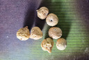 拾善方無(wú)花果干新疆特產(chǎn)新鮮無(wú)添加即食泡水孕婦下奶黃體酮煲湯特大果 曬單實(shí)拍圖
