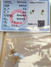 AJIDOU阿吉豆耳釘S925淡水珍珠耳飾輕奢小眾高級感簡(jiǎn)約時(shí)尚禮盒生日禮物 曬單實(shí)拍圖