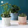九千谷花盆歐式簡(jiǎn)約創(chuàng  )意加厚塑料三色混裝中號3個(gè)裝辦公桌面帶托盤(pán)4276 曬單實(shí)拍圖