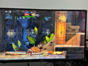任天堂（Nintendo）Switch游戲卡 NS游戲卡 適配Switch2游戲機海外通用版實體卡 魂斗羅 加魯加行動 中文 國內(nèi)速發(fā) 曬單實拍圖