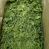 怪獸盒子烘干紫花苜蓿草幼兔子頭茬新草龍貓豚鼠荷蘭豬主食兔糧草精品細桿 9A苜蓿草嘗鮮100g 曬單實(shí)拍圖