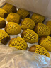 佳沛（zespri）新西蘭陽(yáng)光金果 16粒巨無(wú)霸 單果202-230g   獼猴桃 中秋水果禮盒 曬單實(shí)拍圖