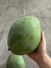 京鮮生 攀枝花凱特芒果 凈重4.5斤 單果300g+ 生鮮水果源頭直發(fā) 曬單實(shí)拍圖