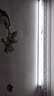 FSL佛山照明 T8燈管led日光節能燈管 1.2米40W 白光 玻璃管 曬單實(shí)拍圖