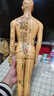 中研太和 人體針灸模型經(jīng)絡(luò )穴位中醫數字定位男模型練習 曬單實(shí)拍圖