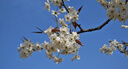 科森拓 索尼帶麥克風(fēng)耳機線(xiàn)WH1000XM3/2/4連接線(xiàn)控3.5mm語(yǔ)音MDR100AH7 h900n頭戴1a連電腦手機音頻線(xiàn)升級 無(wú)損音質(zhì)丨金屬頭丨麥克風(fēng)線(xiàn)控丨1.5米 曬單實(shí)拍圖