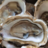生蠔山東大生蠔鮮活牡蠣肉質(zhì)肥美凈重5斤原產(chǎn)地直發(fā)到家 5斤XL【約28-33個(gè)】清蒸版 曬單實(shí)拍圖