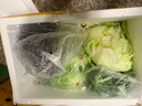 綠食者 沙拉蔬菜組合3.5斤 新鮮苦菊綠葉紅葉生菜西餐沙拉健康輕食蔬菜 蔬菜沙拉組合3.5斤【無沙拉醬】 曬單實拍圖