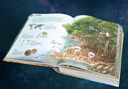 【新華正版】北斗地理百科全書(shū) 圖解課本里的百科 藏在地圖里的中國歷史 藏在地圖里的國家地理世界中國 兒童地理博物大百科中學(xué)地理教學(xué)參考書(shū) 可選： 【贈60節北斗AR地理課+飛機盒發(fā)貨】 曬單實(shí)拍圖