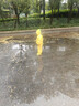 牧萌兒童雨衣分體套裝男女童幼兒園防水雨褲寶寶雨披 黃恐龍套裝 XL 曬單實(shí)拍圖