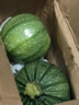 高山小圓瓜嫩南瓜綠皮嫩瓜新鮮蔬菜時(shí)令生鮮夏季減脂 新鮮嫩南瓜 1.5斤 凈重 曬單實(shí)拍圖