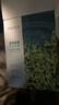 珀萊雅（PROYA）面膜 小球藻面膜 保濕海藻面膜補水面膜女男20片 曬單實(shí)拍圖