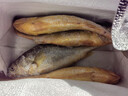 鴻順【冰鮮】黃花魚(yú)4條4斤 生鮮魚(yú)類(lèi) 寧德大黃魚(yú) 地標產(chǎn)品 源頭直發(fā) 曬單實(shí)拍圖