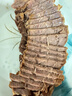 羋羊羊 西北黃牛肉 生鮮牛腱子金錢(qián)腱凈重3斤 腱子芯 低脂健身 源頭直發(fā) 曬單實(shí)拍圖