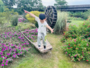 美素佳兒（Friso）皇家美素佳兒（Friso Prestige）幼兒配方奶粉12-36月齡幼兒 3段800g*1罐（新國(guó)標(biāo)） 曬單實(shí)拍圖
