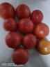 京鮮生沙瓤粉西紅柿 凈重3斤 單果100g+果菜兩吃 源頭直發(fā) 【搜生鮮館】 曬單實(shí)拍圖