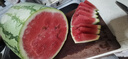 正宗寧夏中衛(wèi)硒砂瓜 石頭縫長出的大西瓜 甘甜可口 新鮮水果 熱賣 22-24斤/個（小果嘗鮮越大越甜） 曬單實拍圖