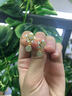 周大金 CHOW TAI KING玉見桃花耳釘女氣質(zhì)耳飾2025新款和田玉耳墜生日禮物送女朋友耳環(huán) 玉見桃花耳釘【空運(yùn)次日達(dá)】 曬單實(shí)拍圖