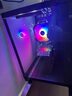 七彩虹（Colorful）海景房i5 13400F/RTX5050 8G RTX3060 12G 獨立顯卡 游戲設計辦公電腦主機臺式組裝機 配三：12400F丨16G丨512G丨3050 曬單實(shí)拍圖