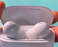 小米（MI）Redmi Buds 6 青春版 入耳式藍牙耳機 42dB降噪 適用于安卓蘋果手機 晴雪白 曬單實拍圖