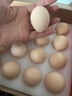 鮮疍多雞蛋 可生食雞蛋鮮雞蛋 富硒蛋無(wú)抗無(wú)激素優(yōu)質(zhì)蛋白 源頭直發(fā)2.2斤 曬單實(shí)拍圖