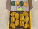 佳沛（zespri）新西蘭  陽光金果10粒巨大果單果約144-175g 中秋水果禮盒 獼猴桃 曬單實拍圖