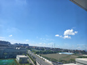 費樂(lè )（FEELO）兼容樂(lè )高大顆粒拼裝兒童玩具男女孩多功能積木桌300粒家居裝飾 曬單實(shí)拍圖