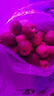 集南鮮 花牛蘋(píng)果 甘肅當季新鮮紅蛇粉面蘋(píng)果 嬰兒輔食水果中秋禮盒送禮 10斤特級果 單果70mm起 凈重8.5斤 曬單實(shí)拍圖