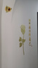 瀚宸玫瑰花自粘3D立體墻貼畫(huà)客廳臥室玄關(guān)床頭背景墻創(chuàng  )意家居裝飾品 金色一支玫瑰 中號 曬單實(shí)拍圖