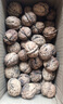 【特級】2025云南薄皮核桃新貨薄殼農家薄皮山核桃堅果零食批發(fā)價(jià) 精選AAA+薄皮核桃-2斤-綠色-品質(zhì)嘗鮮 曬單實(shí)拍圖