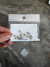 DAISY DREAM999足銀針超閃養耳洞耳釘簡(jiǎn)約氣質(zhì)小耳環(huán)耳骨釘2025新款高級耳飾 【一對】養耳洞耳釘螺絲款 曬單實(shí)拍圖