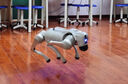 宇樹(shù)（Unitree）Go2 AI大模型機器狗Go2 電子狗智能仿生陪伴機器人四足機器狗 Go-2 Air 曬單實(shí)拍圖