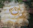 babycare金山茶花紙尿褲NB68片(<5kg)新生兒嬰兒尿不濕超薄透氣輕柔花苞褲 曬單實(shí)拍圖