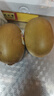 佳沛（zespri）新西蘭  陽(yáng)光金果16粒經(jīng)典果單果 77-103g 中秋水果禮盒 獼猴桃 曬單實(shí)拍圖