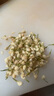 福東海 茉莉花苞茶50克 (當季新鮮頭采)花苞茶葉花草茶泡茶泡水喝 曬單實拍圖