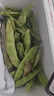 京鮮生山東新鮮油豆角1.8斤裝新鮮蔬菜源頭直發(fā)包郵 曬單實(shí)拍圖