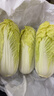 云南高原娃娃菜新鮮蔬菜生鮮乾隆白菜早餐火鍋必備產(chǎn)地直發(fā) 淺黃色 新鮮娃娃菜3顆裝*2包 曬單實(shí)拍圖