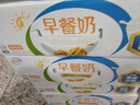 伊利早餐奶核桃味 250ml*24盒 優(yōu)選核桃早餐伴侶 禮盒裝  曬單實(shí)拍圖