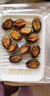 新鮮鮑魚(yú)活凍鮑魚(yú)鮑魚(yú)新鮮海鮮水產(chǎn)貝類(lèi)包郵 【10頭左右/斤】鮑魚(yú)2斤裝 曬單實(shí)拍圖