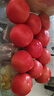 【超市精選】山東沙瓤水果西紅柿新鮮番茄蔬菜減肥單果100g起 西紅柿中大果 4斤 帶箱 曬單實(shí)拍圖