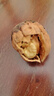 陜西秦嶺大山今年新山核桃老品種油香核桃老樹(shù)薄皮核桃裝原味 野生山核桃【5斤大果】送夾子 曬單實(shí)拍圖