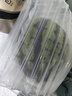 正宗黑籽麒麟西瓜應季新鮮水果新鮮現摘沙瓤薄皮麒麟瓜 麒麟西瓜 5-7斤 1枚裝 曬單實(shí)拍圖