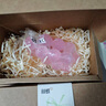林蝶水晶葡萄香皂手工皂洗澡洗臉高級感禮品生日送禮創(chuàng  )意伴手禮 水晶葡萄串香皂（隨機4盒） 曬單實(shí)拍圖