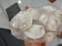 灣仔碼頭素水餃韭菜雞蛋餃子1200g72只 早餐 生鮮速食速凍餃子 曬單實拍圖